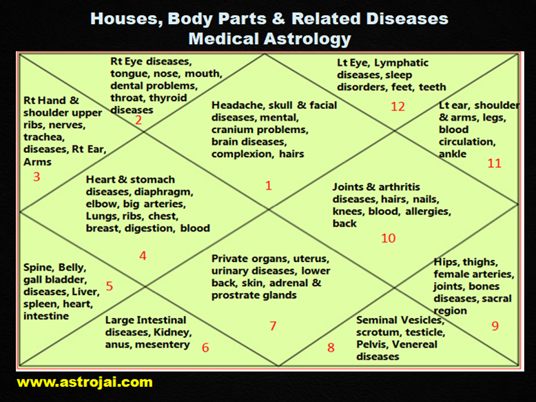 Houses Body Parts Astrology