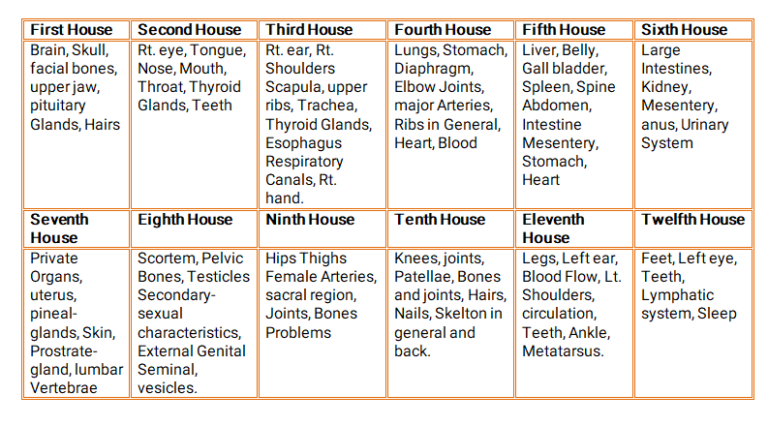 body parts ruled by houses in astrology